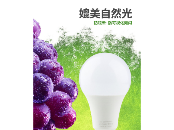 浙江LED燈泡廠家直銷 江雅電子加工店供應(yīng)