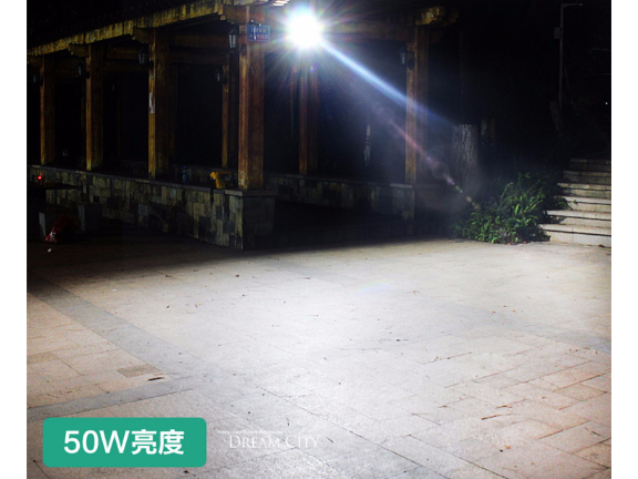 哪里可以亮化工程 創(chuàng)造輝煌 中山茂碩科技供應(yīng)