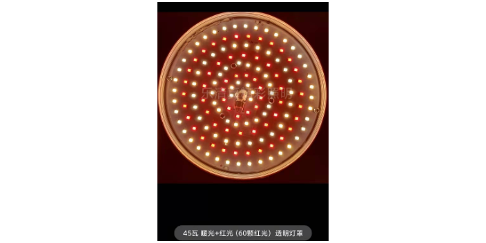 江蘇海鮮提鮮燈價格「樂清市真精彩照明電器供應(yīng)」