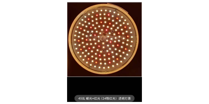 廣東市場提鮮燈現(xiàn)貨「樂清市真精彩照明電器供應(yīng)」