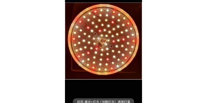 江西超市提鮮燈哪家好「樂清市真精彩照明電器供應(yīng)」