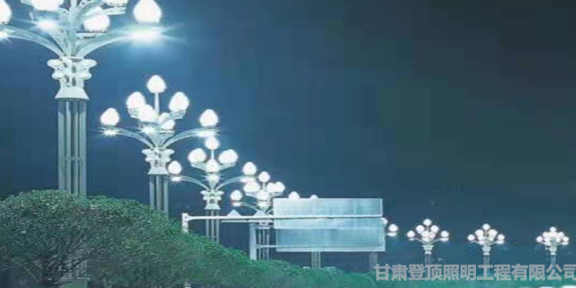 西寧特色定制款路燈批發(fā)「甘肅登頂照明工程供應(yīng)」