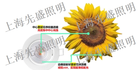湖州燈具「上海先盛照明電器供應(yīng)」
